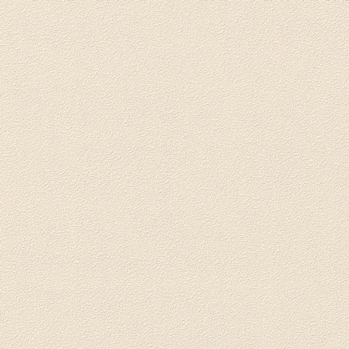 Bestie 2025 - BW Collection ลายมินิมอล