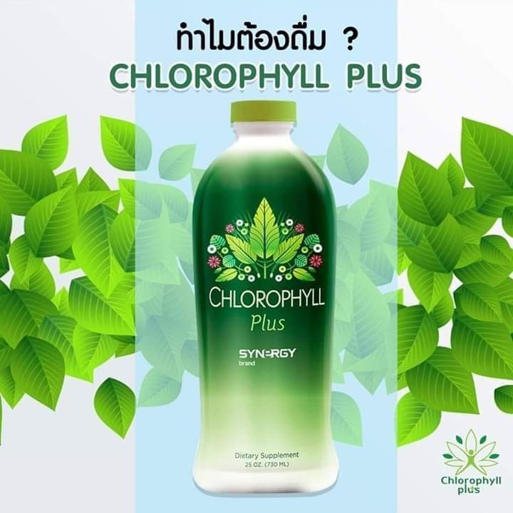 คลอโรฟิลล์ พลัส เข้มข้นได้รับรางวัลโนเบล chlorophyll plus syn - rgy