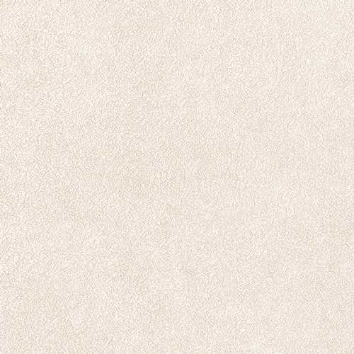 Bestie 2025 - BW Collection ลายมินิมอล