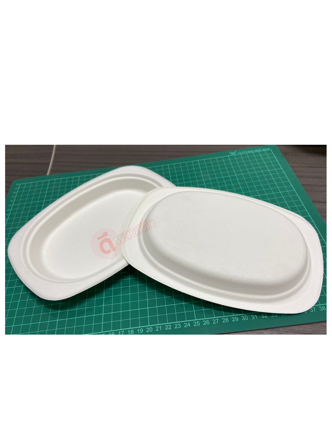 จาน ชานอ้อยธรรมชาติ 100%