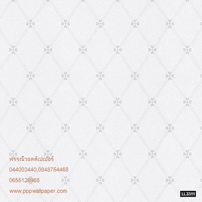 วอลล์เปเปอร์ติดผนังสไตล์โมเดิร์น