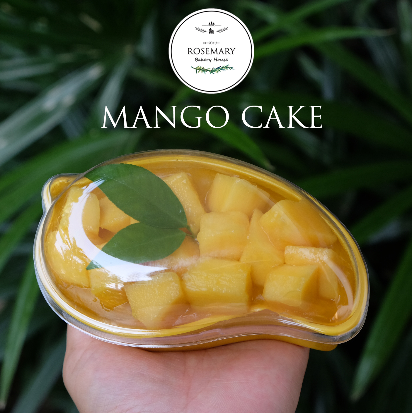 🥭🥭เค้กลูกมะม่วง Mango Cake 🥭🥭 (สั่ง 2 กล่อง ถูกกว่า)