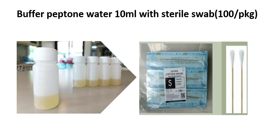 Buffer peptone water 10ml with sterile swab(100/pkg) สินค้าในประเทศ