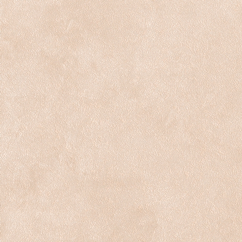 Bestie 2025 - BW Collection ลายมินิมอล