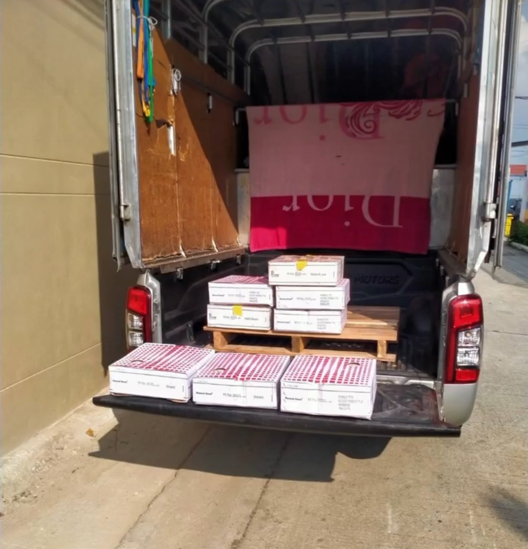 Italian Mosaic Cappuccino