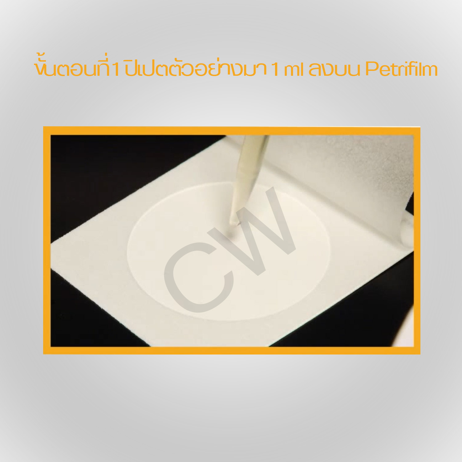 Neogen™ Petrifilm Salmonella Express Plates (50แผ่น/แพ็ค)-แผ่นทดสอบแซลมอลแนลลา