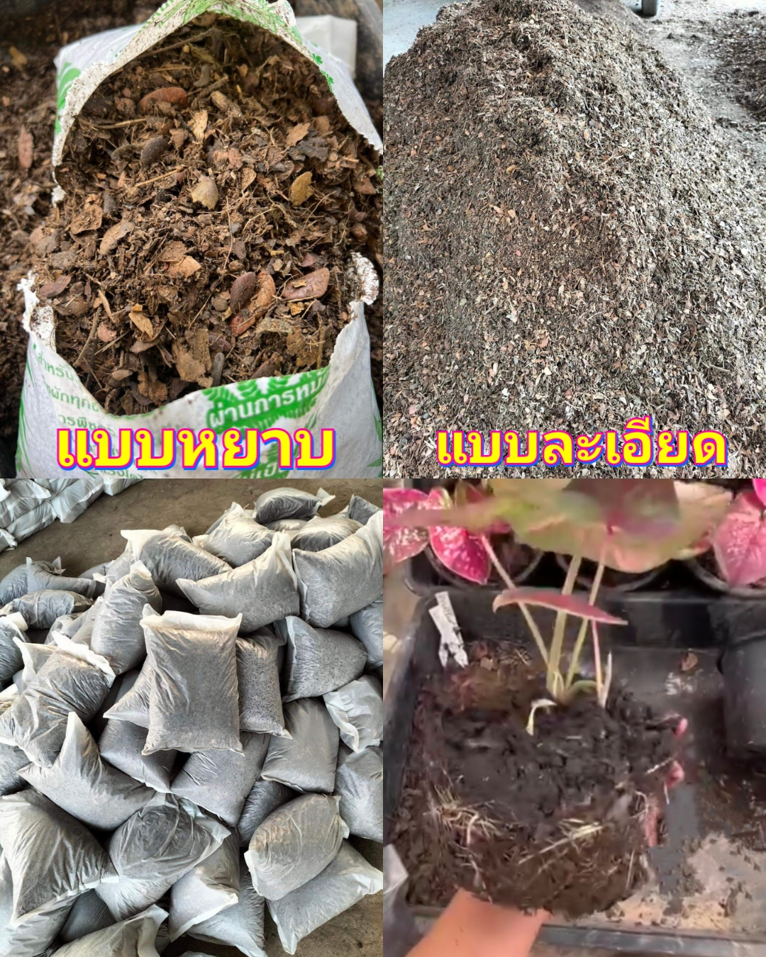 ใบก้ามปูหมัก ล้วน ไม่ผสมดิน ไร้สารเคมี ใบก้ามปู สำหรับปลูก