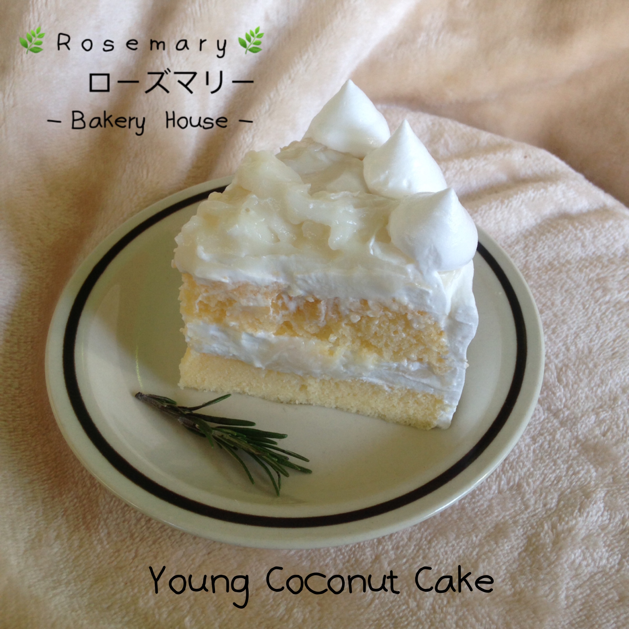 🌴เค้กมะพร้าวอ่อน🌴 Young Coconut Cake (ชิ้นเล็ก)