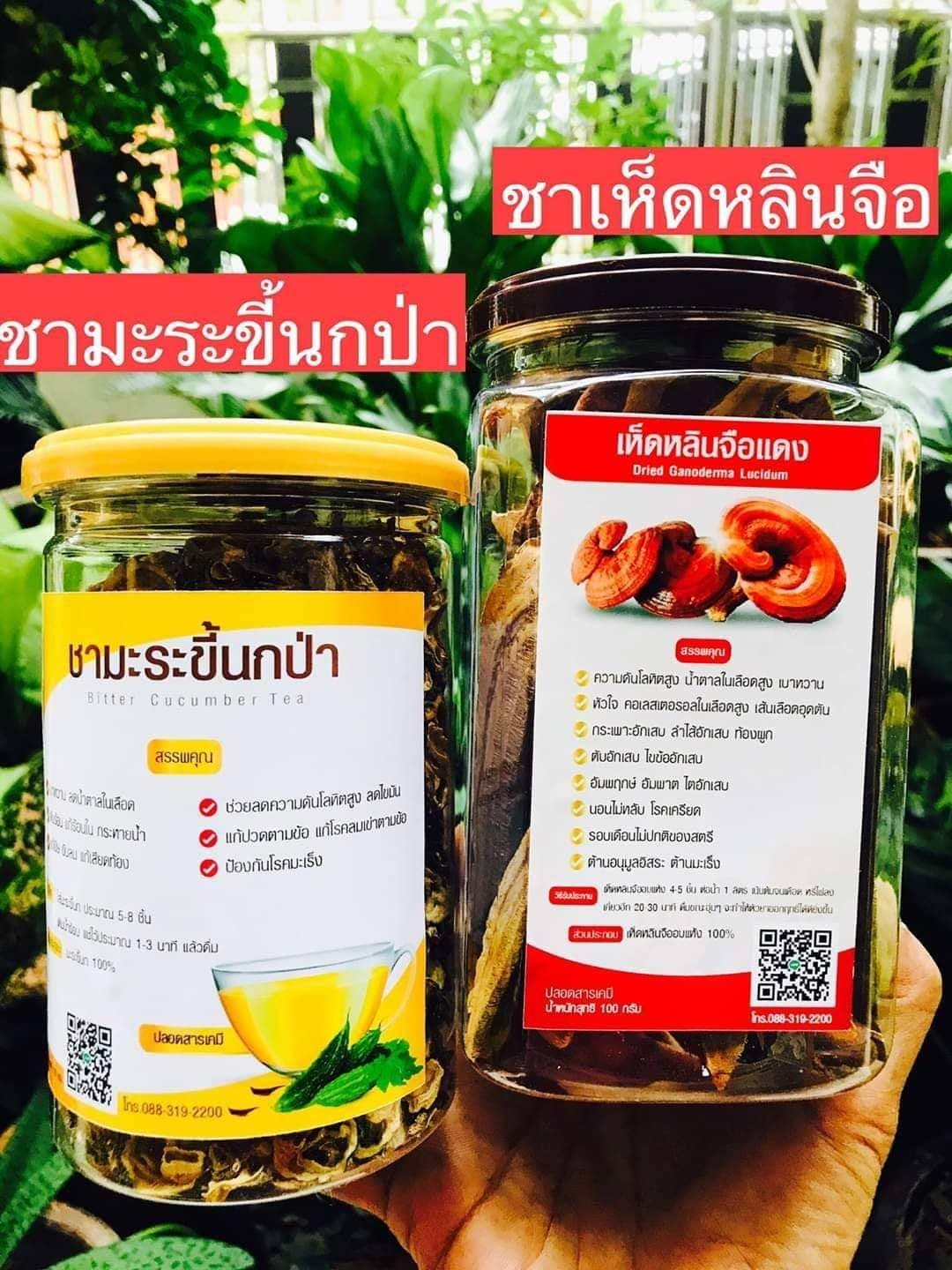 รวม มี3 รายการ ชามะระขี้นกป่า & ชาเห็ดหลินจือ & สมุนไพร ชาใบขลู่