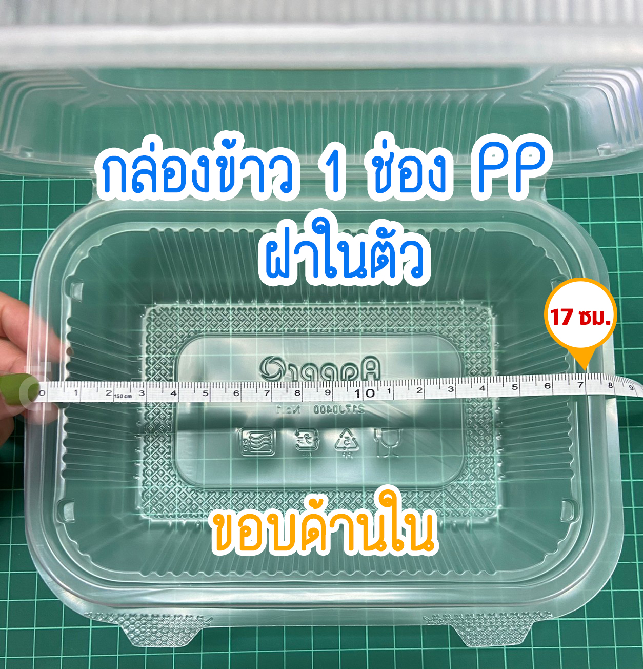 กล่องข้าว PP ฝาติด