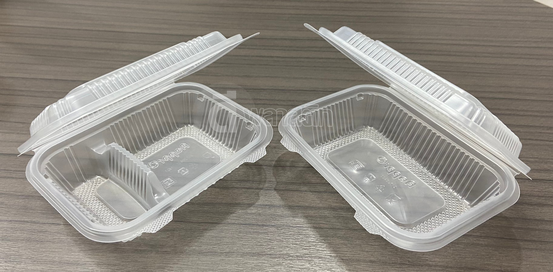 กล่องข้าว PP ฝาติด