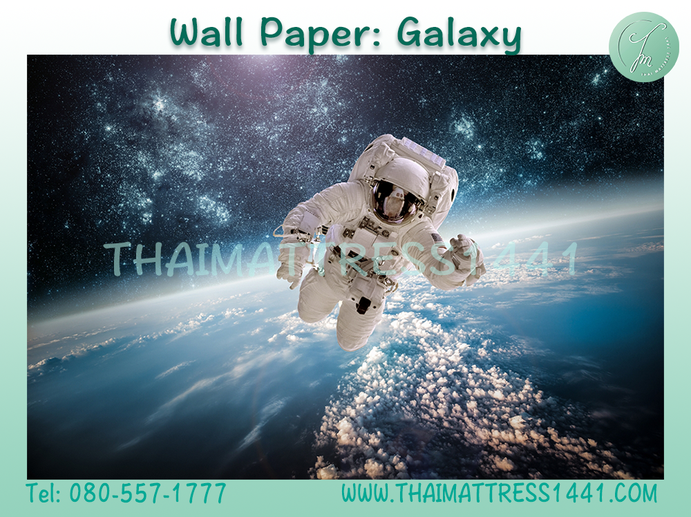 วอลเปปอร์ภาพพิมพ์ Digital Printing Wall Paper