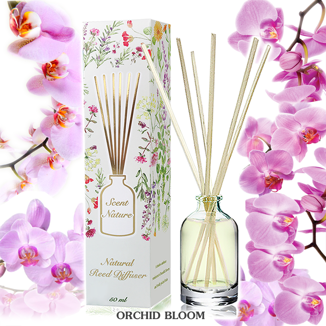 ORCHID BLOOM ดอกกล้วยไม้
