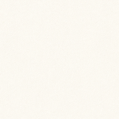 Bestie 2025 - BW Collection ลายมินิมอล