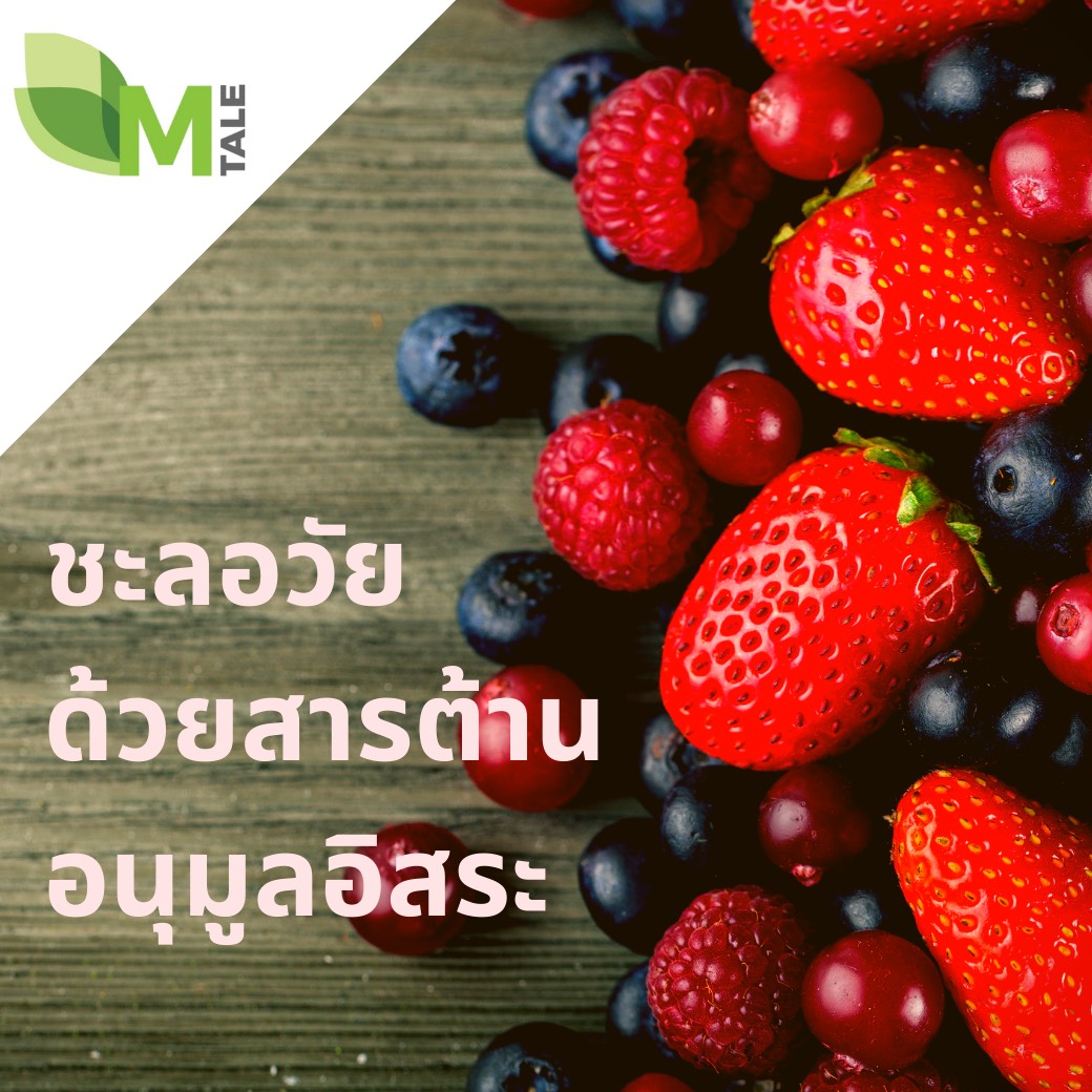 สารต้านอนุมูลอิสระสำหรับอาการวัยทอง