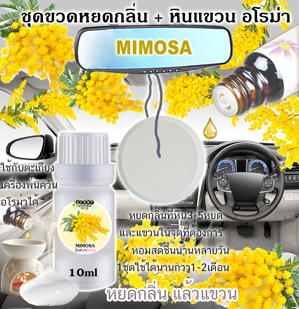 หินแขวน + ขวดหยด 10ml MIMOSA