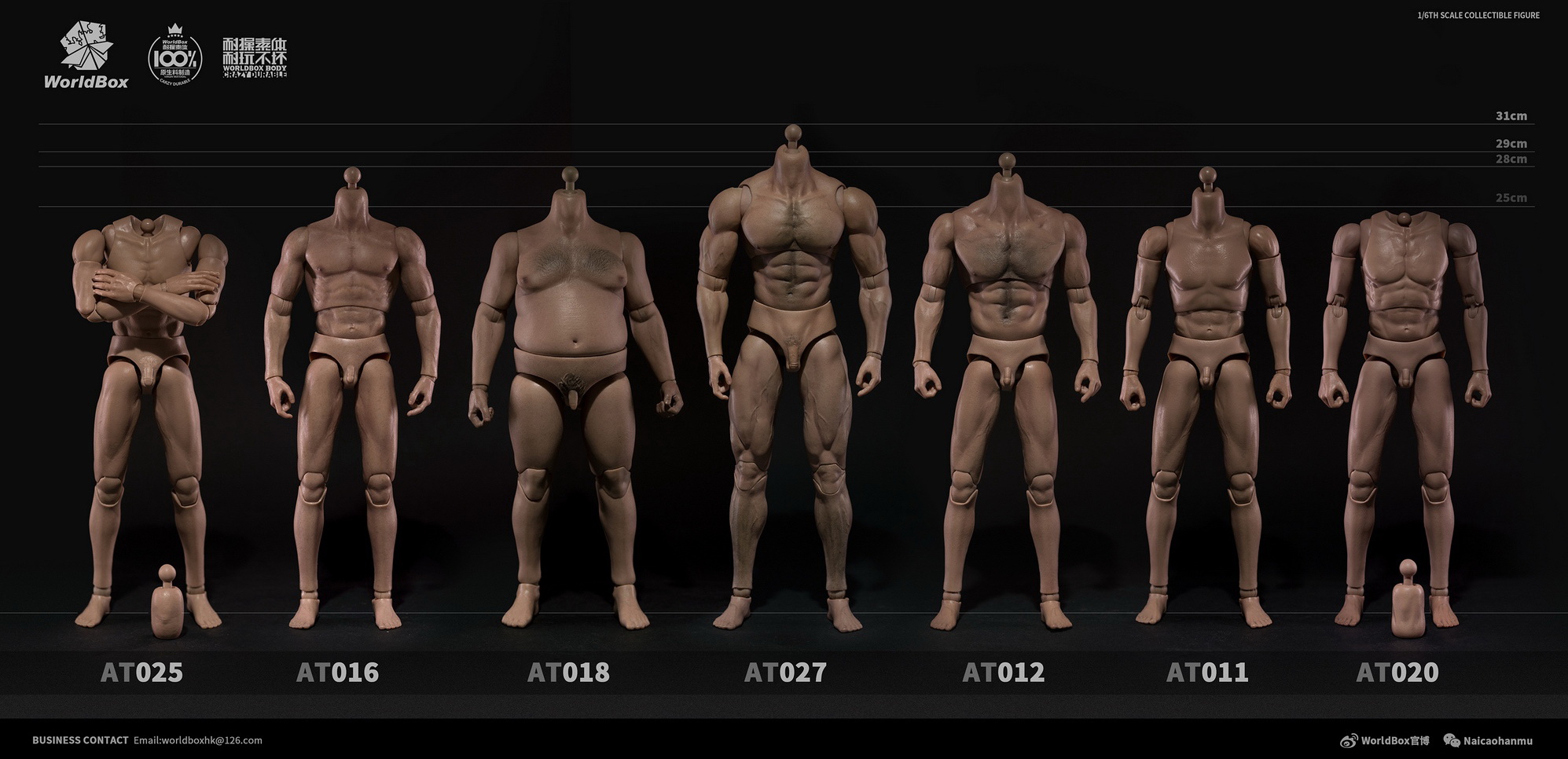 Worldbox AT020 1/6 Features of the 16th scale body” universal body to head