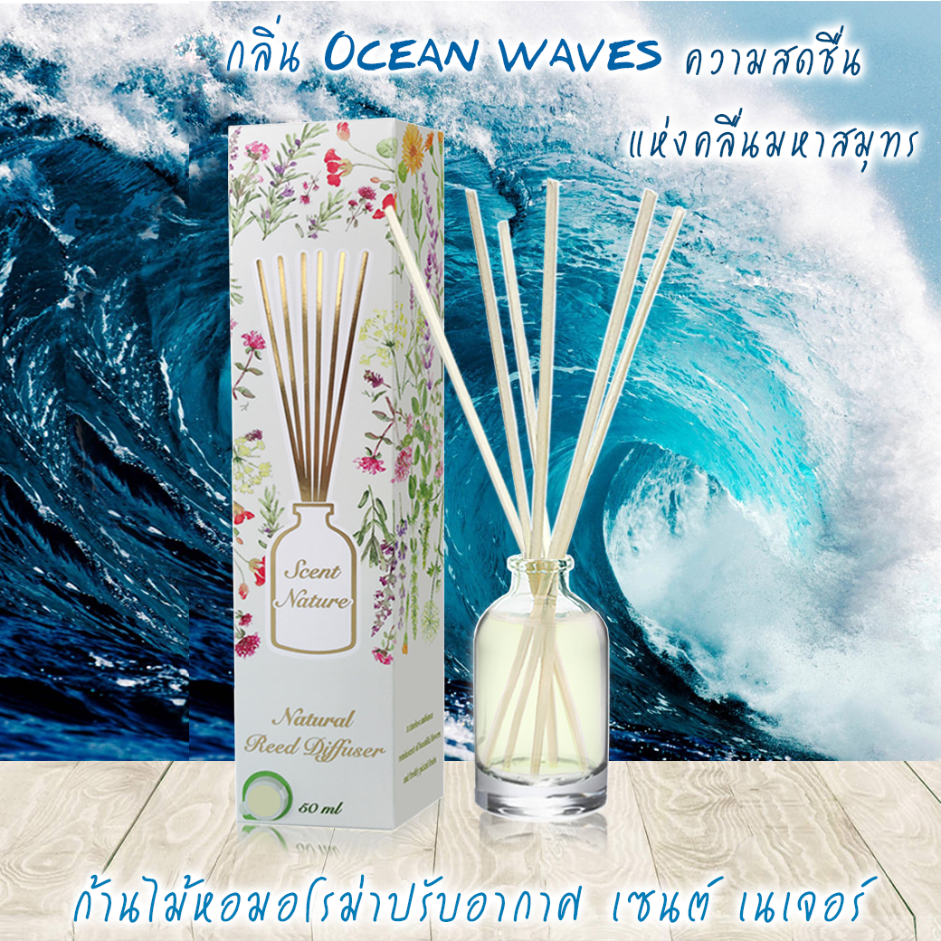 OCEAN WAVES คลื่นมหาสมุทร