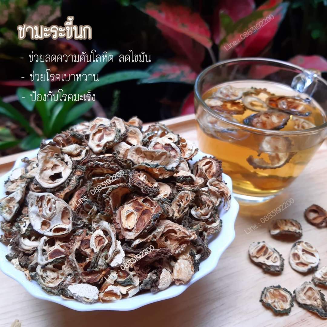 รวม มี3 รายการ ชามะระขี้นกป่า & ชาเห็ดหลินจือ & สมุนไพร ชาใบขลู่