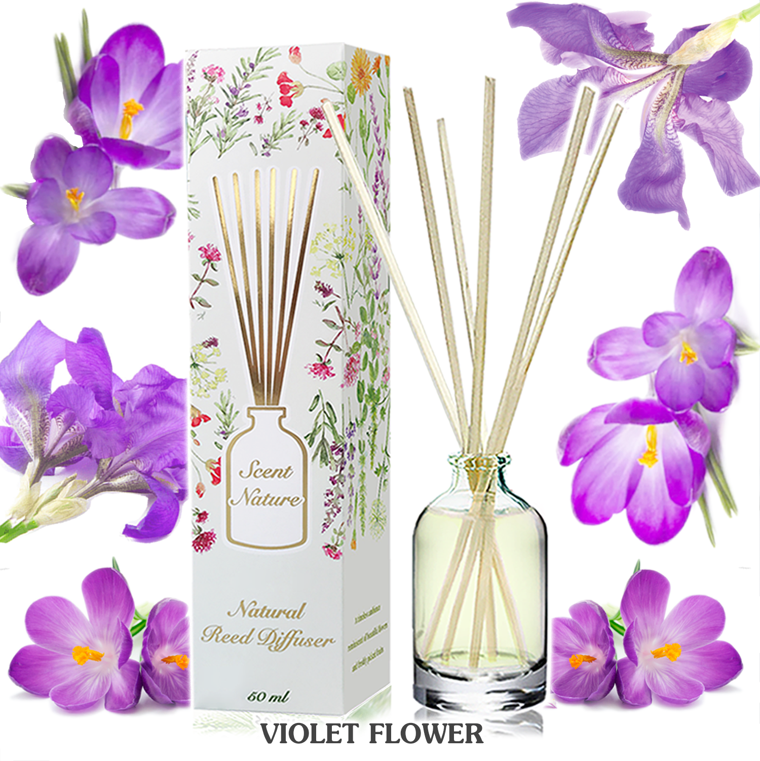 VIOLET FLOWER ดอกไวโอเล็ต
