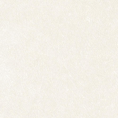 Bestie 2025 - BW Collection ลายมินิมอล