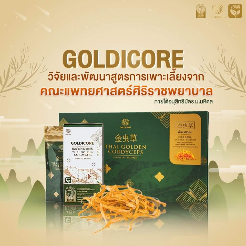 ถั่งเช่าสีทอง goldicore บำรุงสุขภาพ ถั่งเช่า