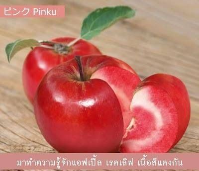 Pinku ( พิ้งคุ ) ครีม เปลี่ยน สีปาก และ หัวนม ให้เป็นสีชมพู พร้อมบำรุง