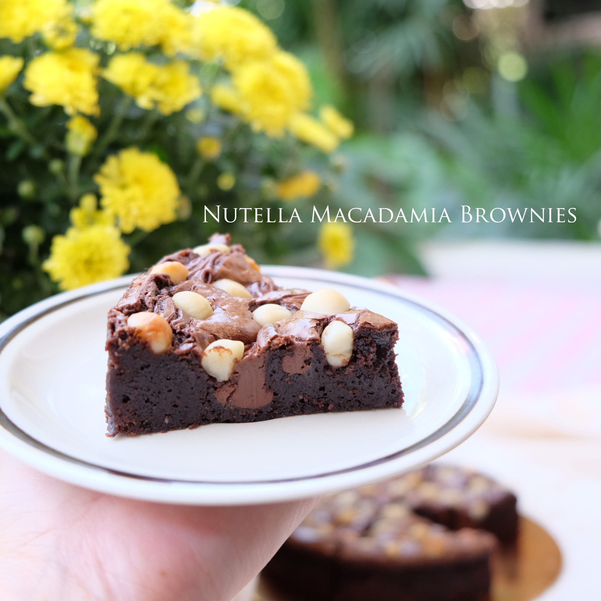 เค้กนูลเทลล่าแมคคาเดเมียบราวนี่ (ขนาด 2 ปอนด์) / Nutella Macadamia Brownies Cake (2 Pound / 7'' x 7")