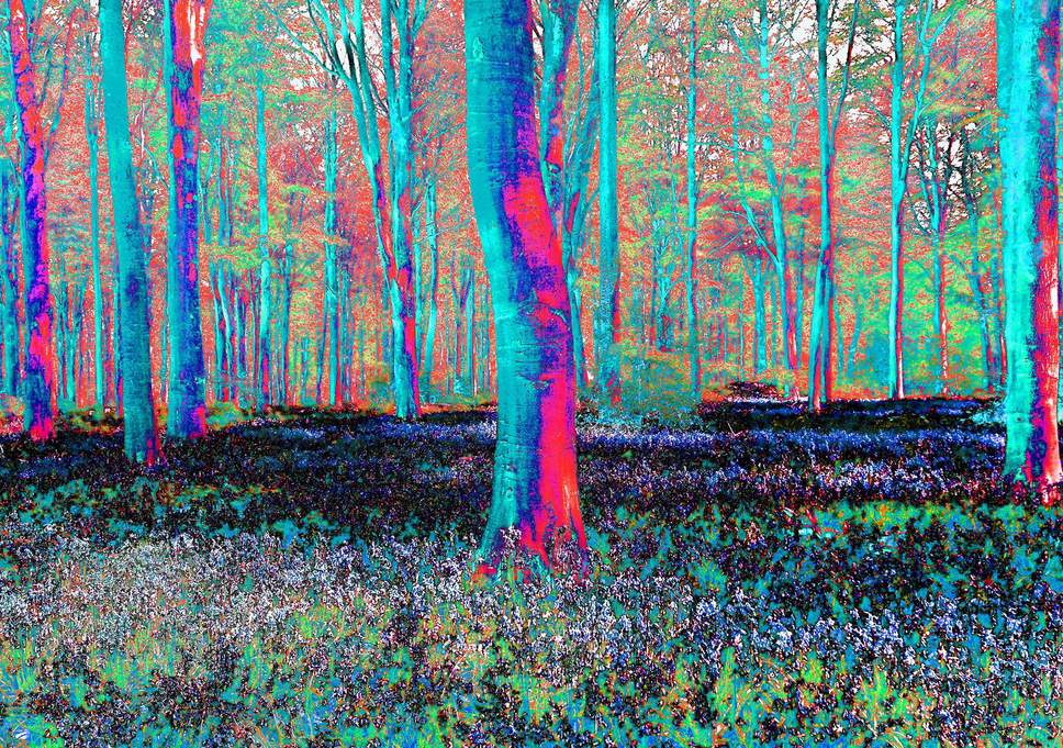 ภาพหลอน Psychedelic