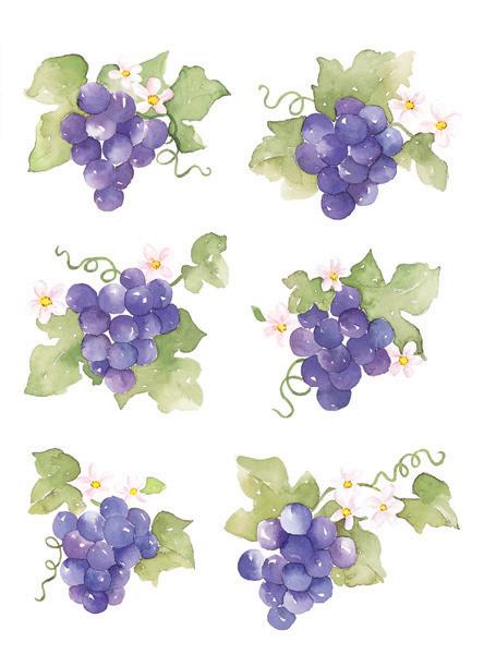 SD-04 Deco Sticker สติ๊กเกอร์ใส สำหรับตกแต่งแก้ว จาน ชาม กระเบื้อง แจกันฯลฯ ลาย องุ่น ขนาดแผ่น 17x23 cm