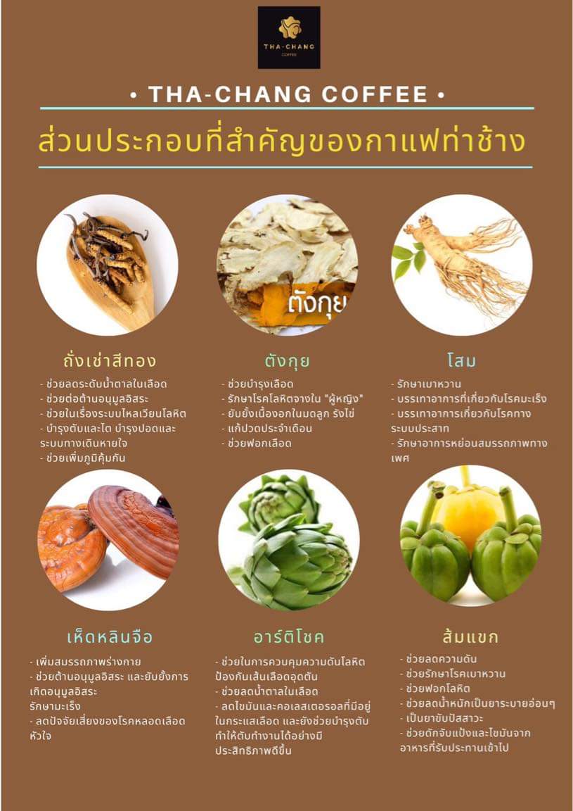 กาแฟ ท่าช้าง tha - chang coffee thachang