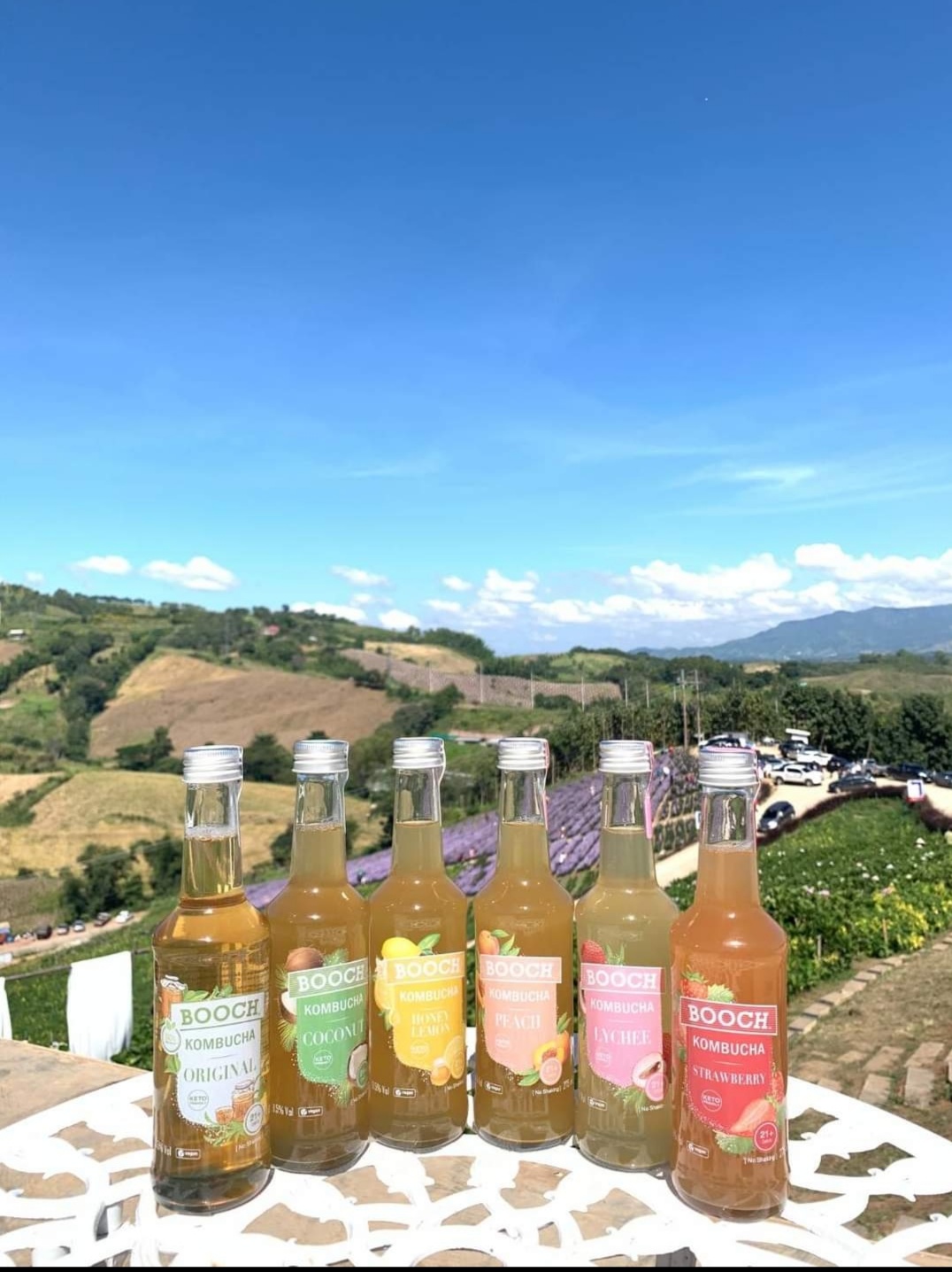 (สั่งขั้นต่ำ6ขวด) คอมบูชา Booch Kombucha ( Super drink )