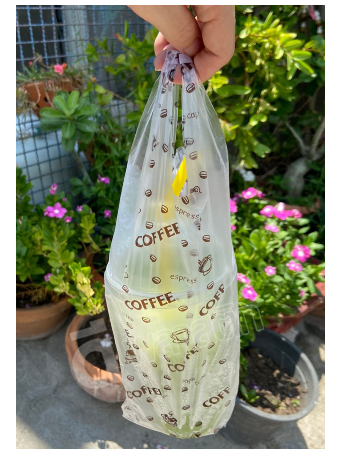 ถุงหูหิ้วใส่แก้ว เต็มใบ พิมพ์ลาย 16 - 22 oz.