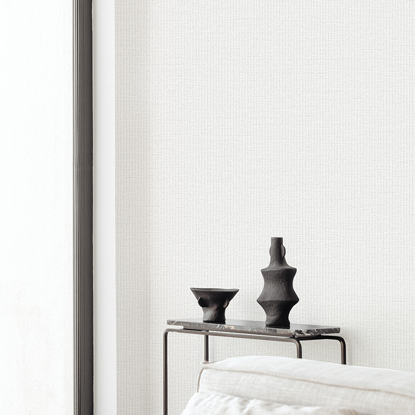 BASIC+ LIMITED Collection