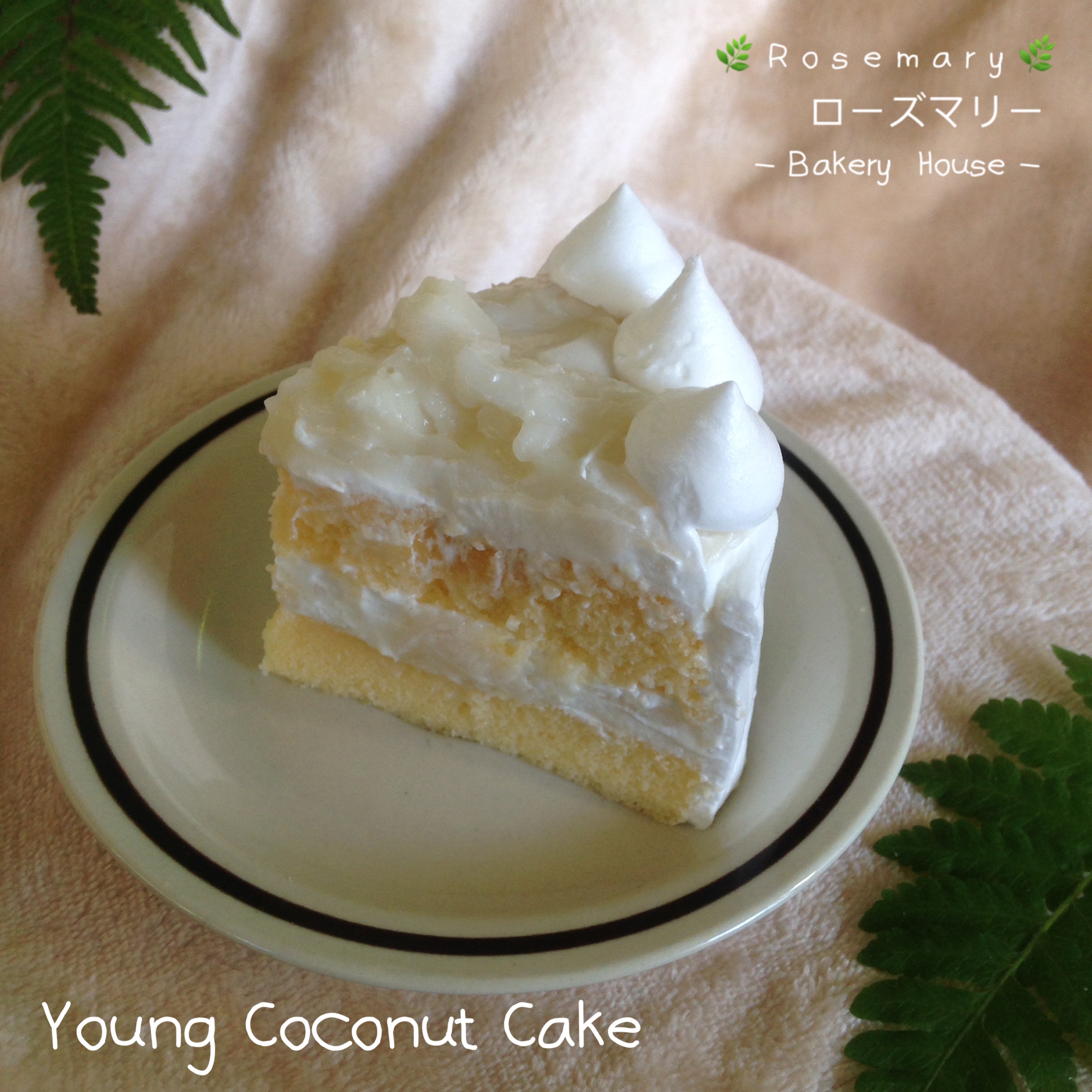 🌴เค้กมะพร้าวอ่อน🌴 Young Coconut Cake (ชิ้นเล็ก)