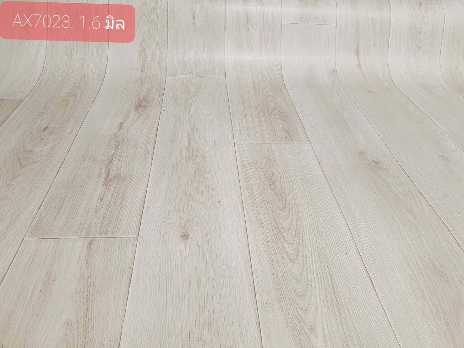 LALA HOME กระเบื้องยางแบบม้วน PVC หนา 1.6 มิล ลายไม้สีขาวนวล ความกว้าง 2 เมตร
