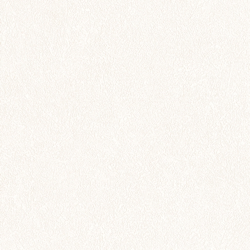 Bestie 2025 - BW Collection ลายมินิมอล