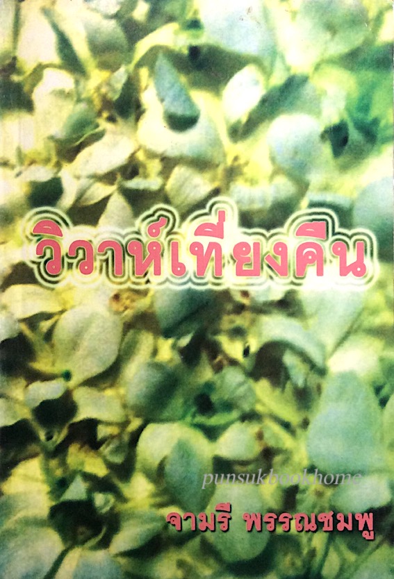 วิวาห์เที่ยงคืน จามรี พรรณชมพู