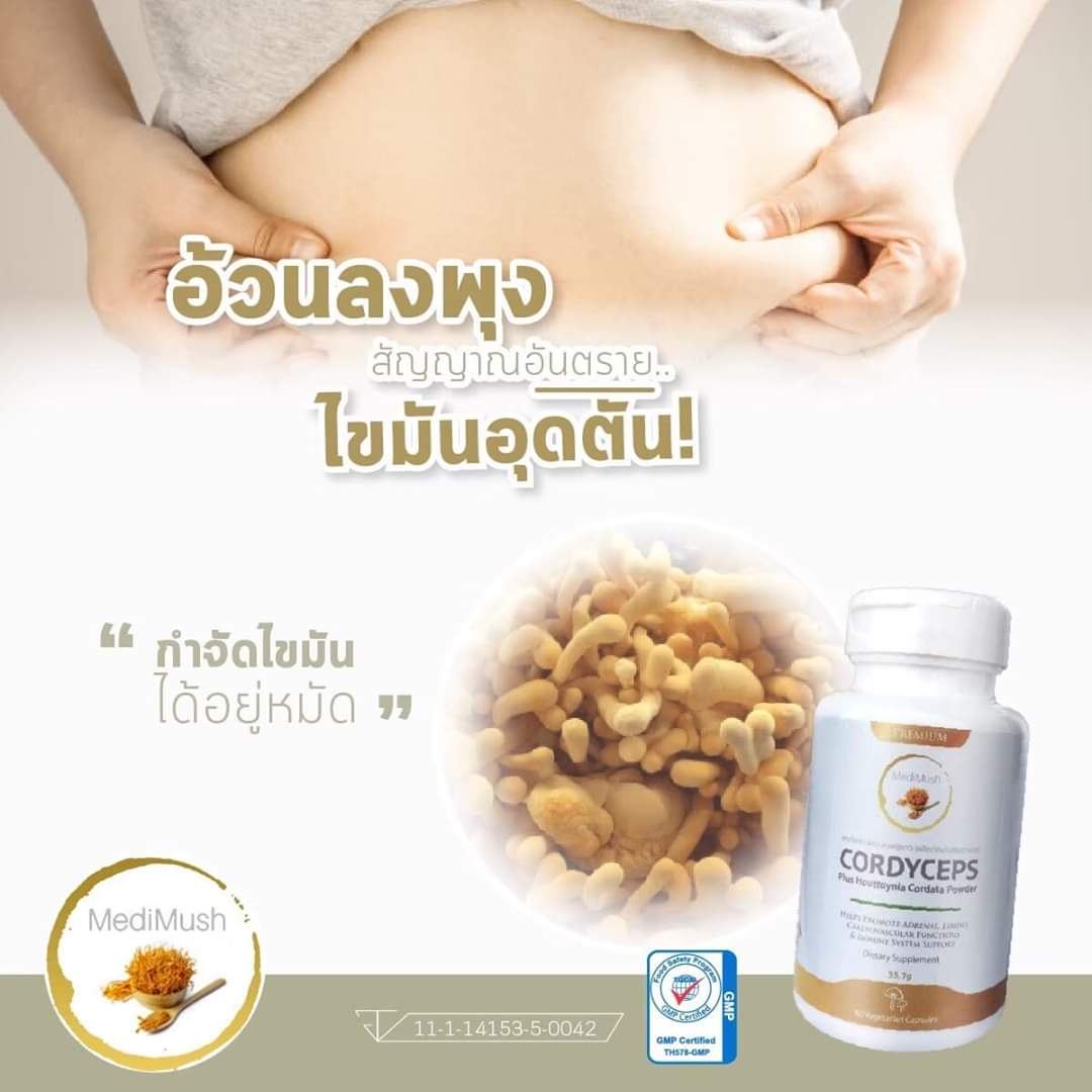 (2กระปุก) cordy ceps คอร์ดี้เชป ถั่วเช่า ผสม พลูคาว cordyceps med mush medimush