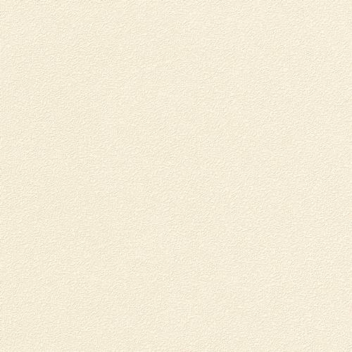 Bestie 2025 - BW Collection ลายมินิมอล