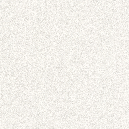 Bestie 2025 - BW Collection ลายมินิมอล