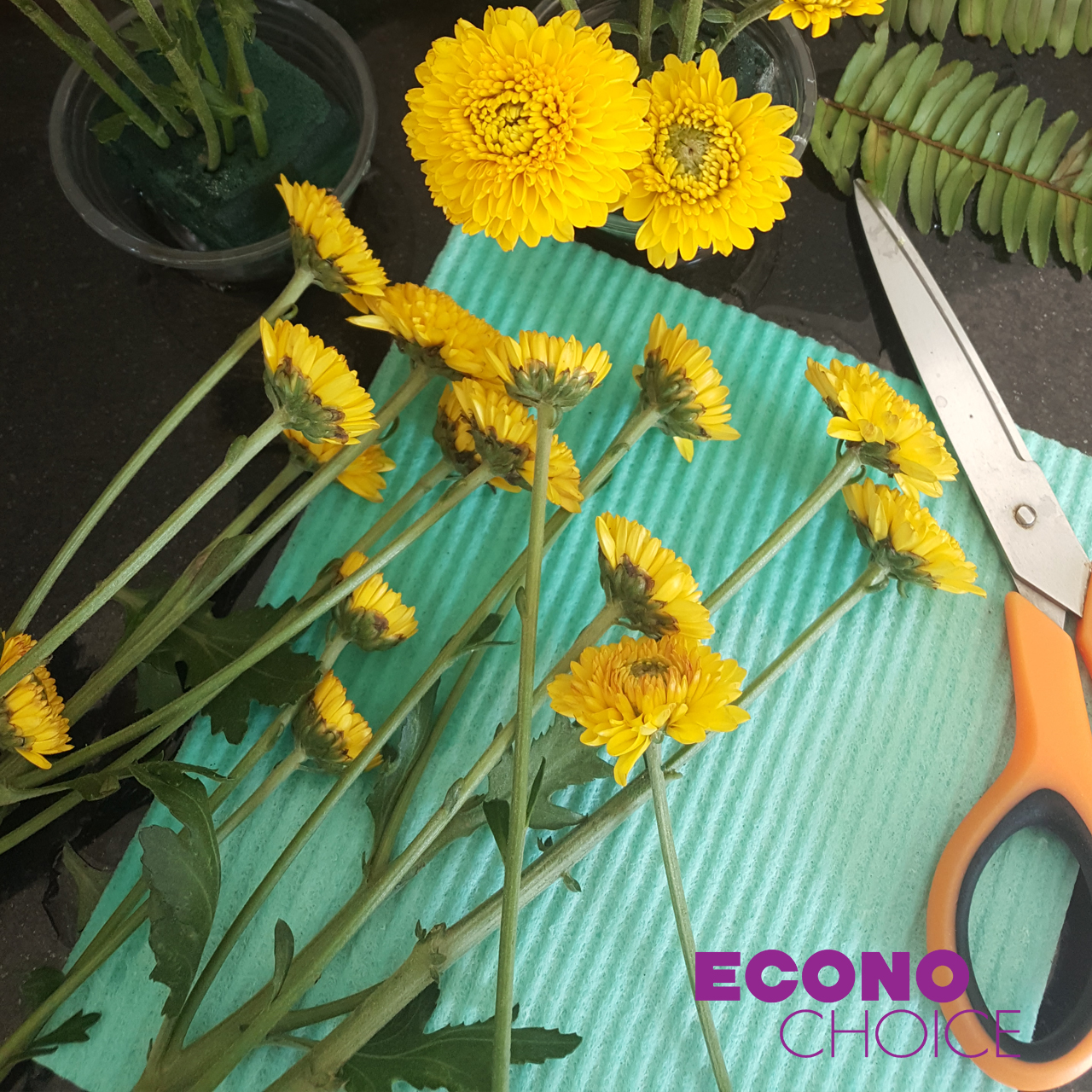 ผ้าฟองน้ำเซลลูโลส ผ้าฟองน้ำอเนกประสงค์ อีโคโนช้อยส์ ผืนใหญ่ ยกลัง