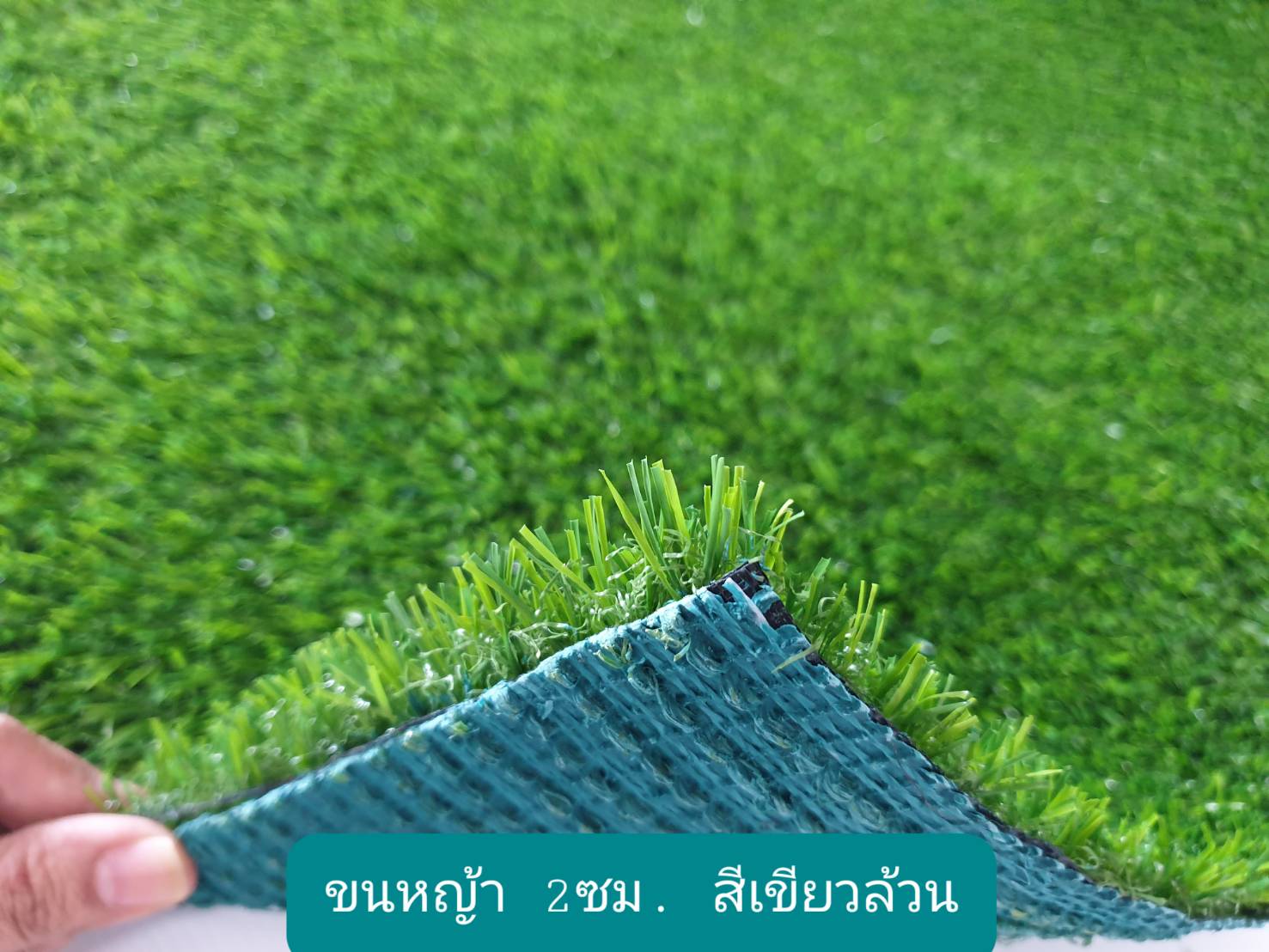 la la grass หญ้าเทียม ขนยาว 2 cm เขียวล้วน เขียวล้วน 1ม. x 1ม.