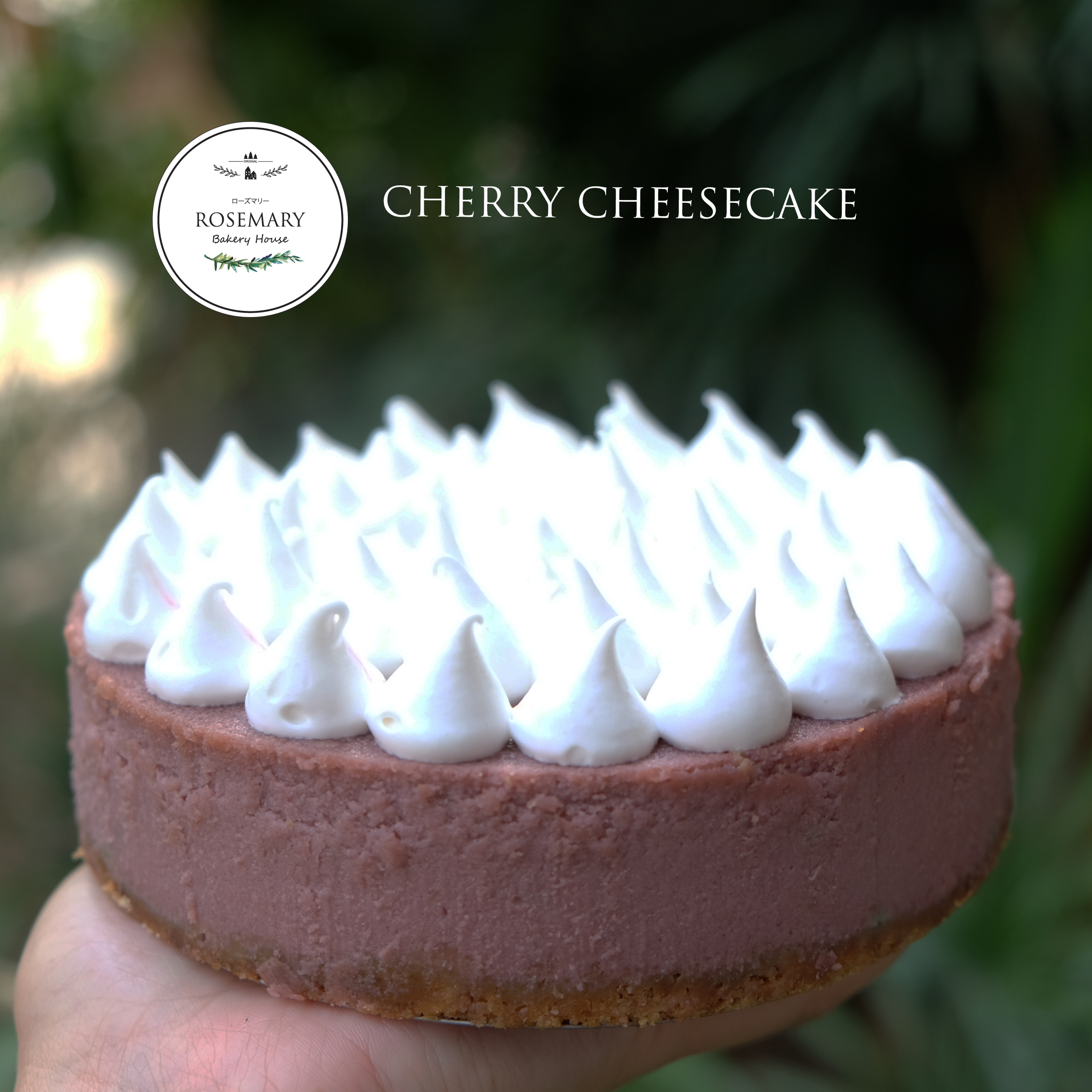 เชอร์รี่ชีสเค้ก (ขนาด 2 ปอนด์) / Cherry CheeseCake (2 Pound / 7'' x 7")