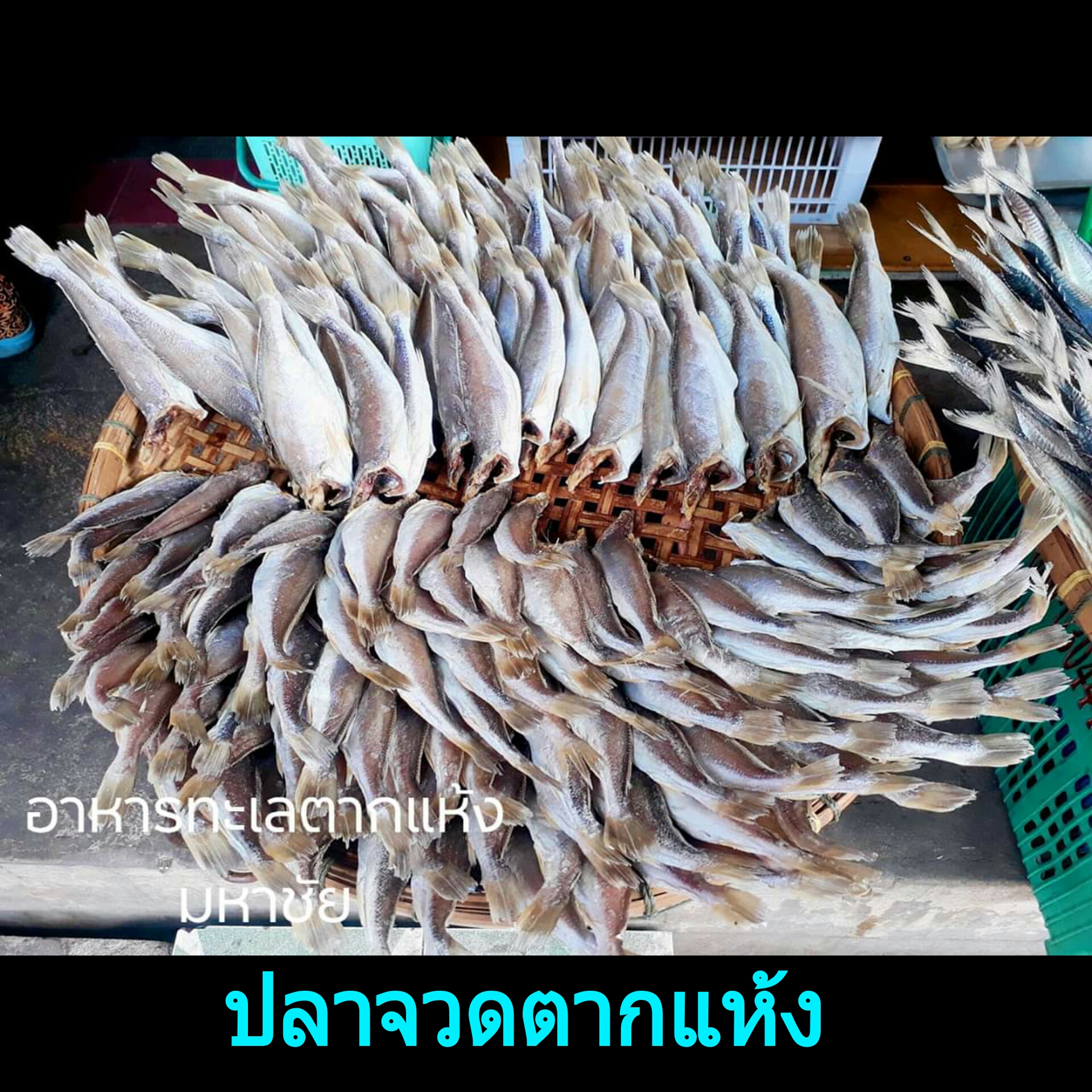 รวม อาหารทะเล แปรรูป Le4 (ข้างในมีสินค้าหลายรายการ) เช่น ปลาหมึกแห้ง ปลาตากแห้ง ห้อยตากแห้ง (ปริมาณ 500 กรัม)