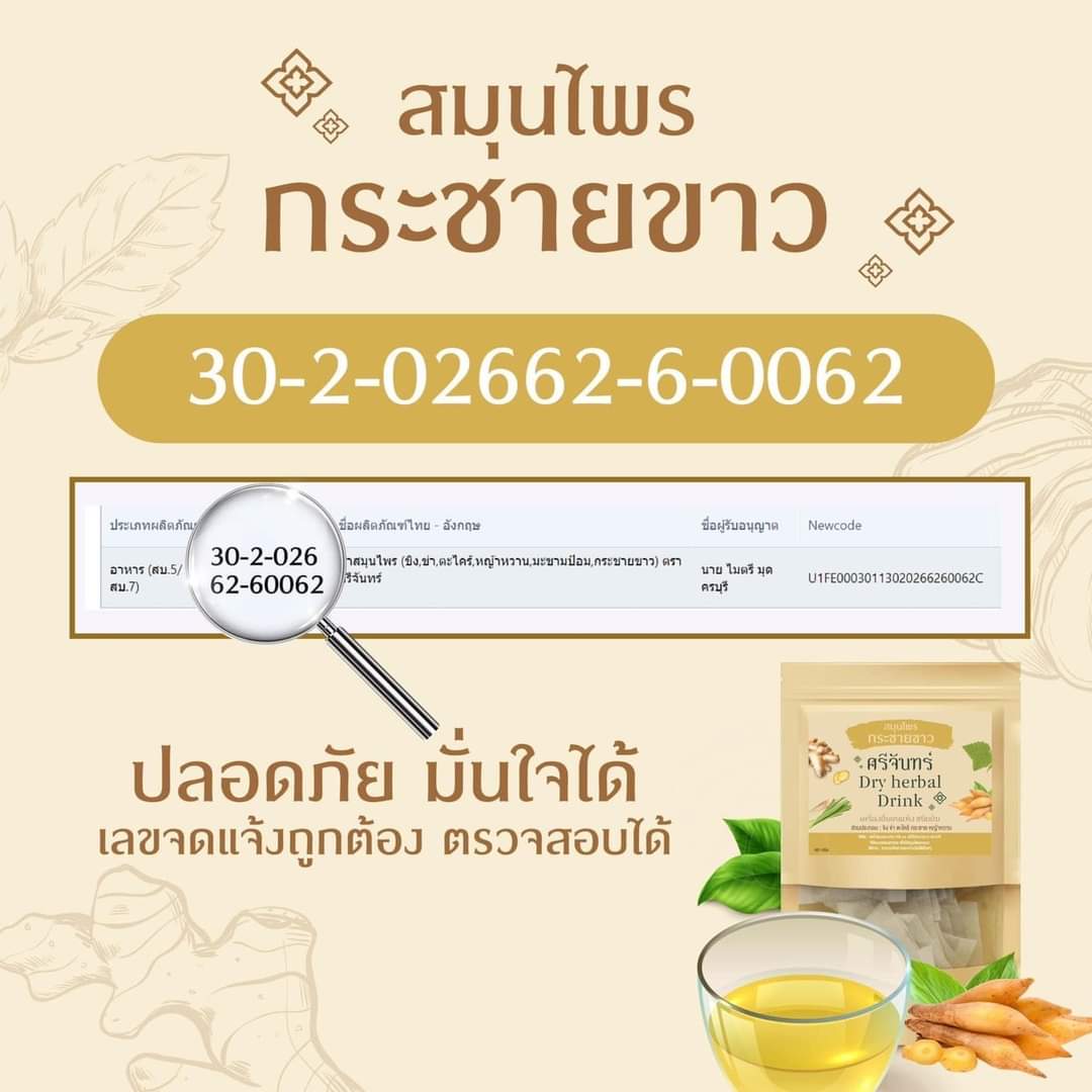 ชา ชากระชาย ชากระชายขาว กระชาย กระชายขาว ศรีจันทร์ dry herbal drink