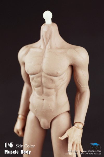 COOMODEL B3006 Muscul Body
