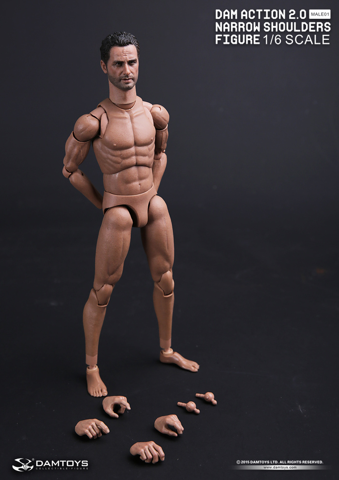 DAMTOYS NO.MALE01 DAM ACTION 2.0 NARROW SHOULDERS FIGURE