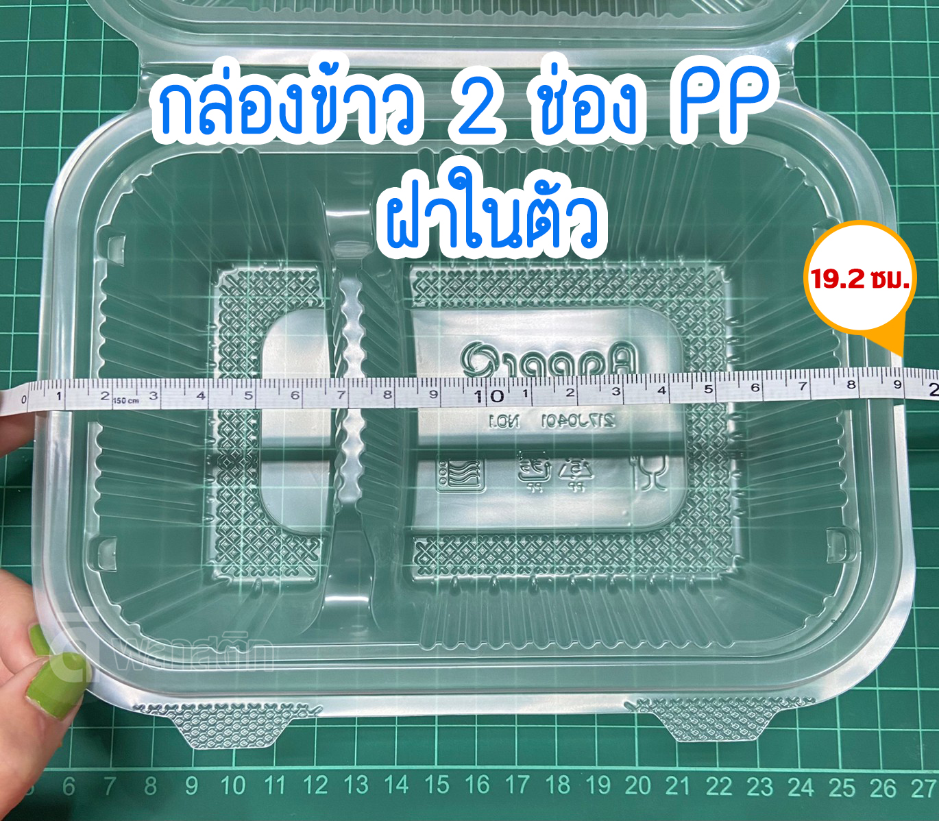 กล่องข้าว PP ฝาติด