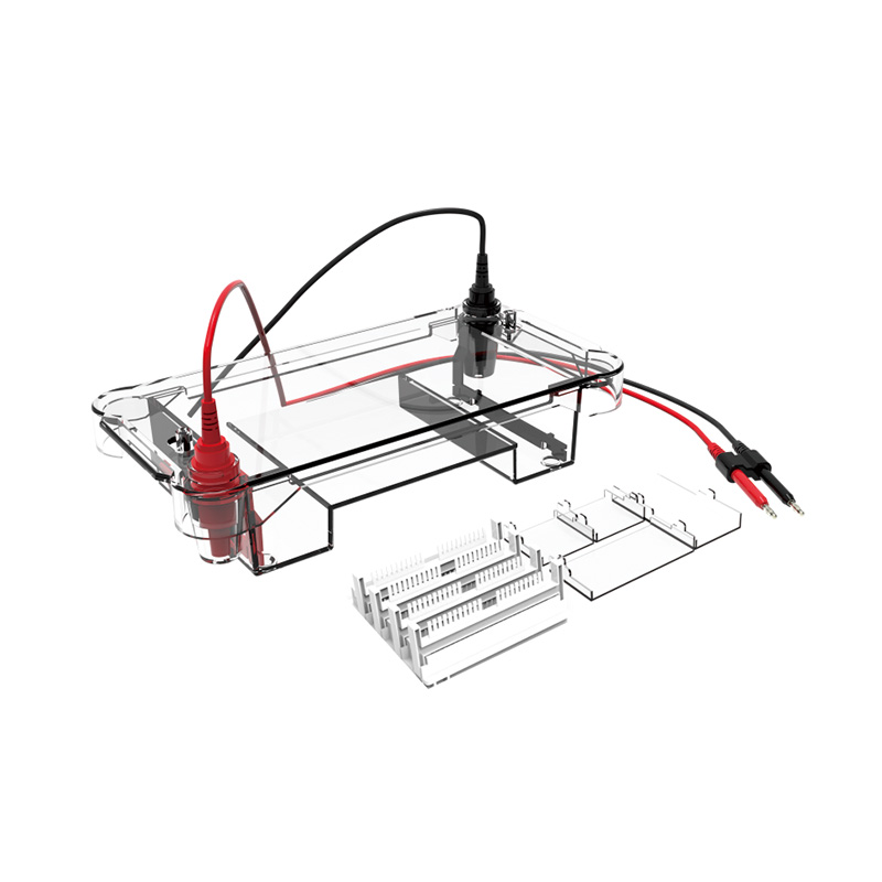 Horizontal Gel Electrophoresis-Biobase เครื่องเจลอิเลคโตรโฟรีซีส (Gel electrophoresis of protein)